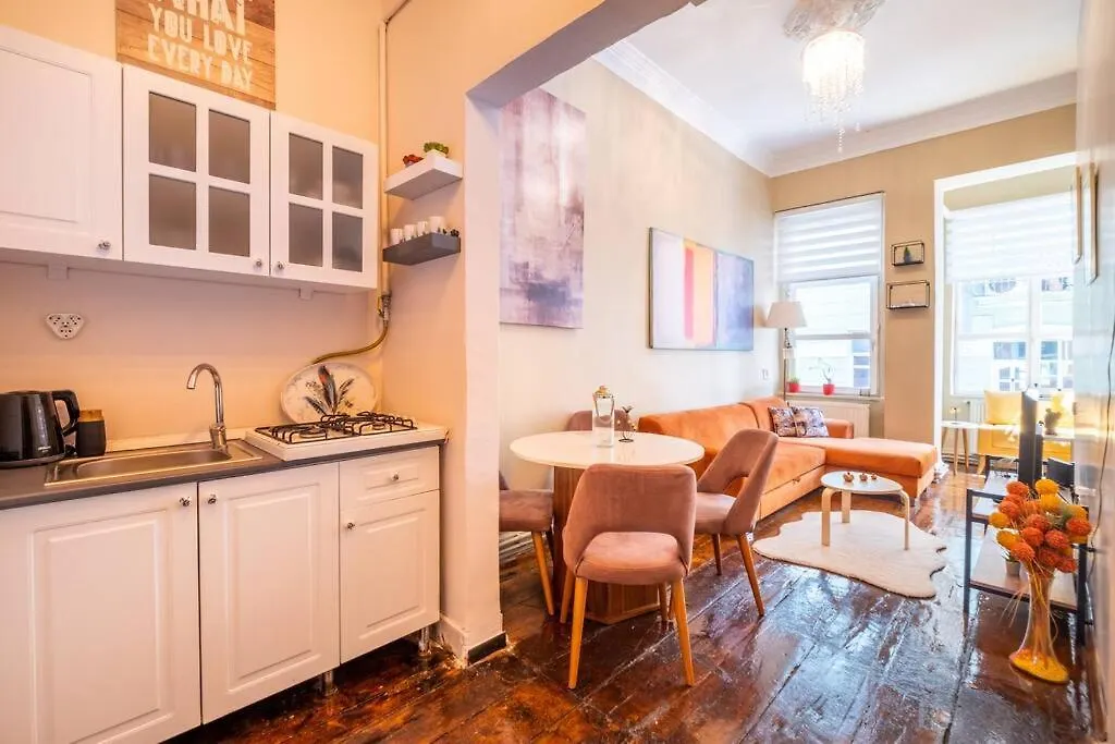 Smashing Flat At The Heart Of Galata Apartment Istanbul