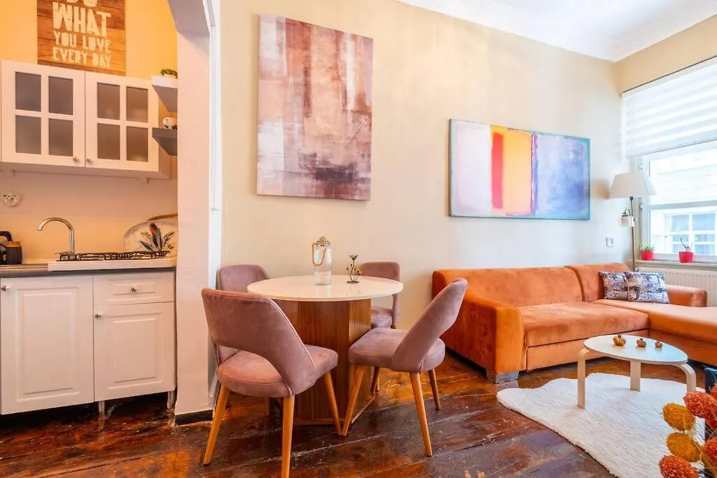 Appartamento Smashing Flat At The Heart Of Galata Provincia di Provincia di Istanbul 0*,